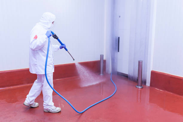 Best Boat and Dock Cleaning  in River Falls, WI